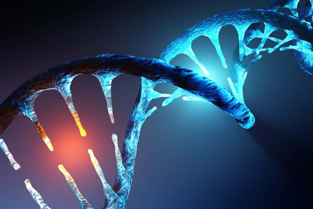 Les séquences d'ADN obtenues sont analysées pour obtenir la composition du microbiote.