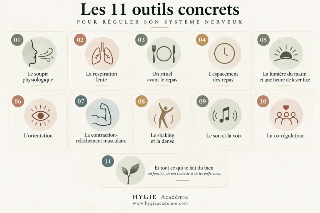 Infographie présentant 11 outils concrets pour réguler son système nerveux, dont respiration, mouvement, méditation, musique et sommeil