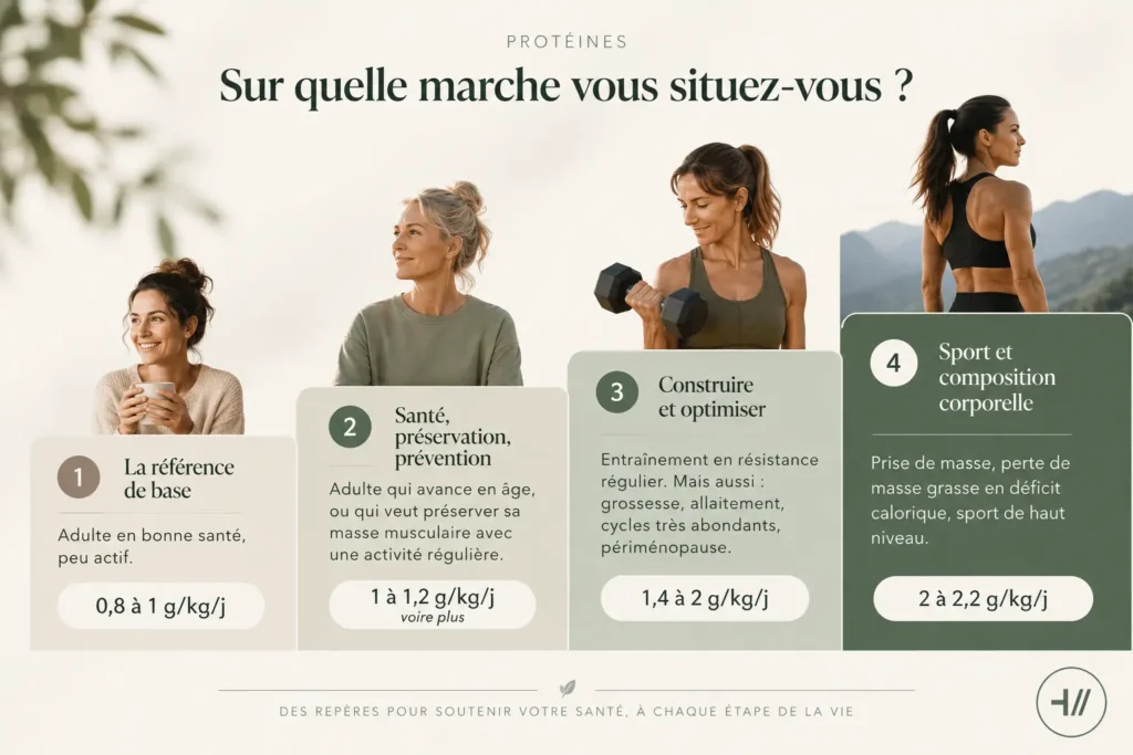 Combien de protéines par jour selon le poids, l'âge et l'activité physique