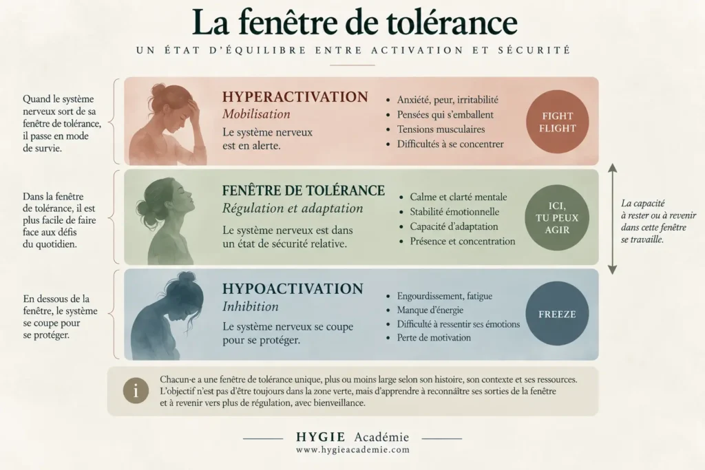 Schéma de la fenêtre de tolérance avec les zones d’hyperactivation, de régulation et d’hypoactivation